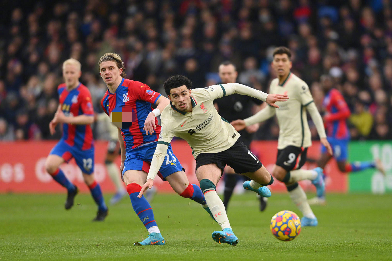 复正常的竞 复正常的竞